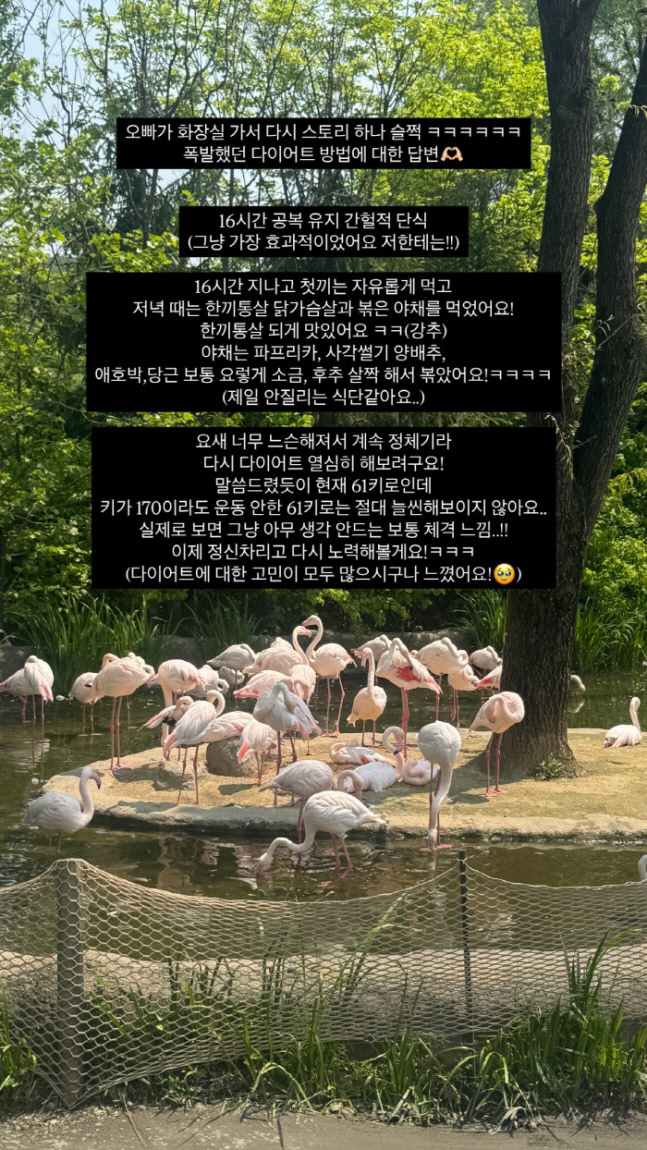 '윤남기♥' 이다은, 82→59kg 감량에도..."목표 55kg, 늘씬한…