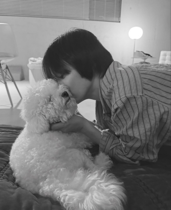 송혜교, 그리움 담긴 입맞춤 “보고 싶었어”..김혜수→엄정화도 “♥” 응…