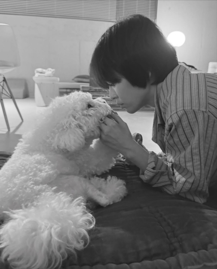 송혜교, 그리움 담긴 입맞춤 “보고 싶었어”..김혜수→엄정화도 “♥” 응…