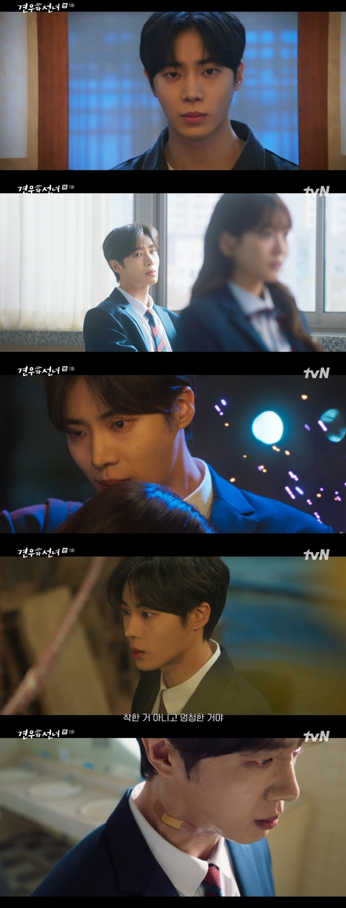 변우석 자리 노리는 추영우..'중증' '옥씨' '광장' 이어 '견우와 선…