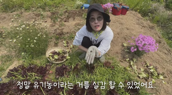 오연수, 넓은 텃밭 공개..주말 농장서 상추·감자 직접 키워 '삼겹살 파티'