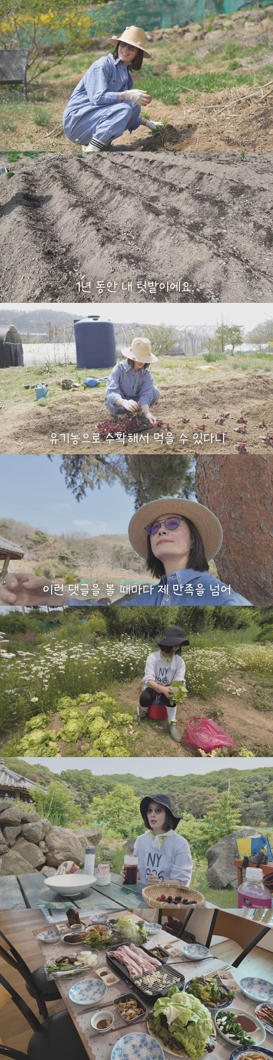 오연수, 넓은 텃밭 공개..주말 농장서 상추·감자 직접 키워 '삼겹살 파…