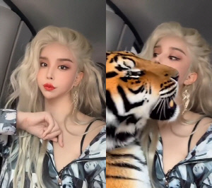 하리수, 놀라운 반려동물 영상에 '깜짝'…호랑이를 키운다고?