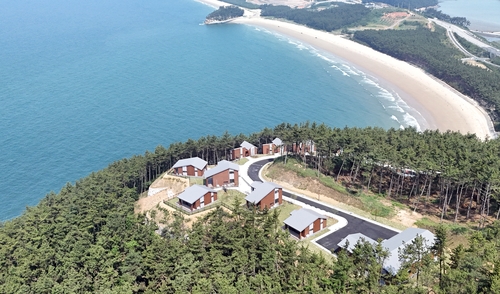 "바다 보며 쉰다"…보령 원산도 자연휴양림 10월 임시 운영