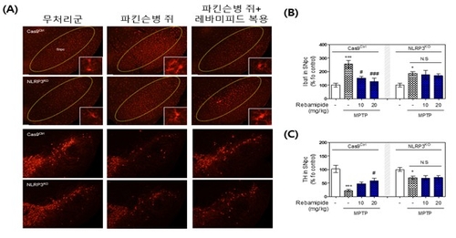 한의학硏, 위장약에서 파킨슨병 치료 가능성 제시