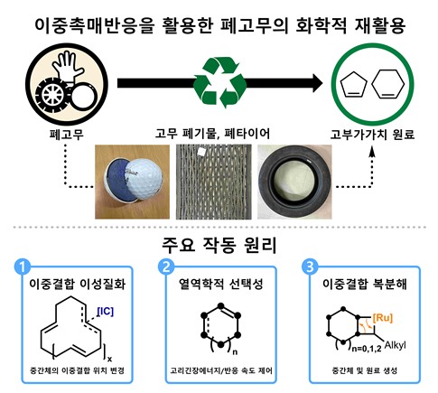 KAIST, 폐타이어를 고순도의 고무 원료로 전환하는 기술 개발