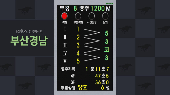 [경마]코끝에 갈린 2인자 자리와 7번마의 눈물, 6월의 명장면은