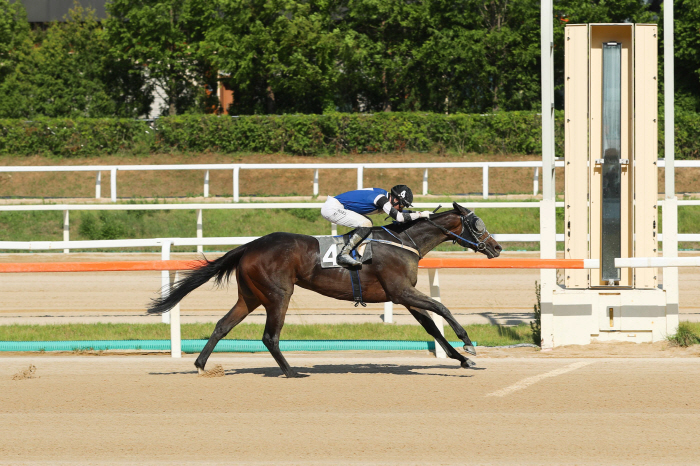 [경마]숫말보다 낫네…최연소 홍일점馬, 2000m 내달려 우승