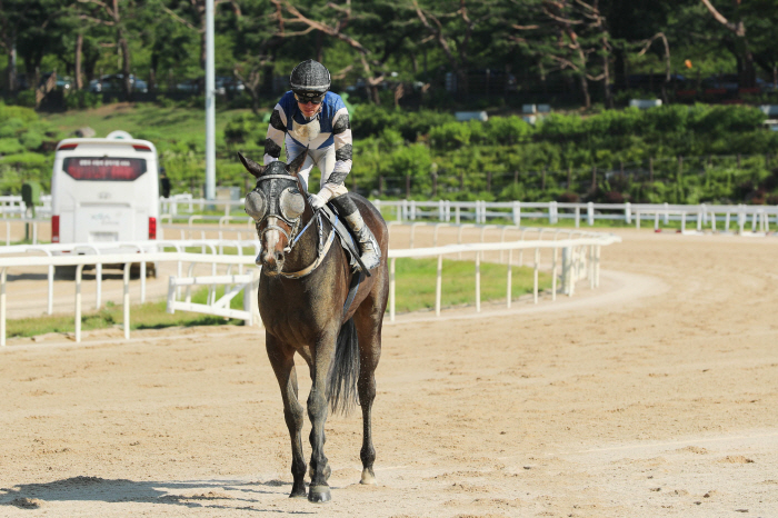 [경마]숫말보다 낫네…최연소 홍일점馬, 2000m 내달려 우승