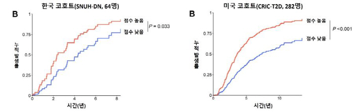 당뇨병콩팥병 치료제 개발 단서 확인…"보체 단백질 증가할수록 빠르게 진행…
