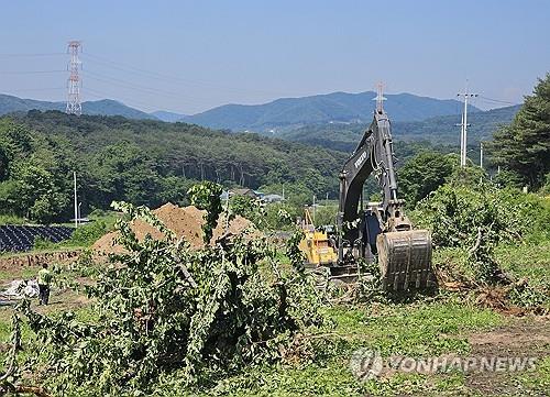 충북 과수화상병 피해 20.8㏊…축구장 30개 크기 육박