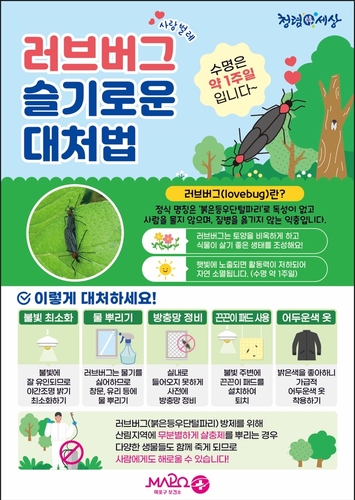 '러브버그 슬기로운 대처법은'…마포구 친환경 방제 총력