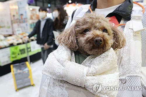 '동물병원 진료비 병원 내부에 게시'…정부, 시행규칙 개정