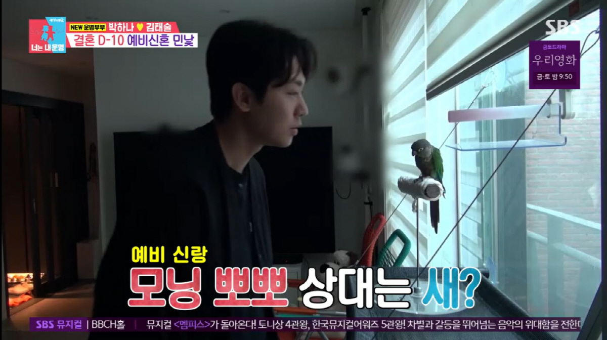 박하나, 결혼 전 경질된 ♥김태술에 "한가한 남자가 내 이상형"(동상이몽…