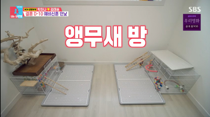 박하나, 결혼 전 경질된 ♥김태술에 "한가한 남자가 내 이상형"(동상이몽…
