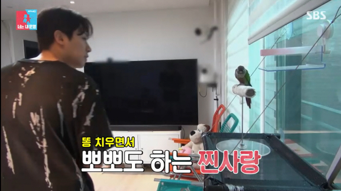 박하나, 결혼 전 경질된 ♥김태술에 "한가한 남자가 내 이상형"(동상이몽…