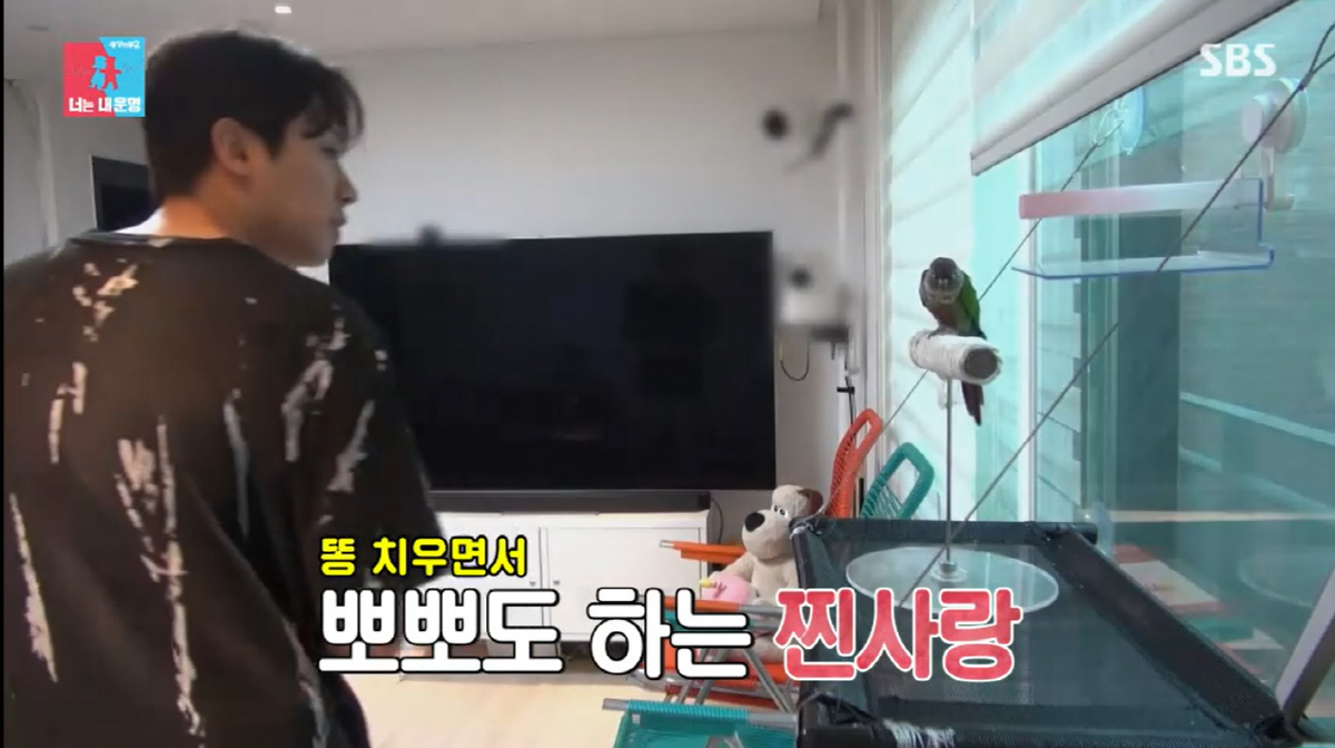 박하나, 결혼 전 경질된 ♥김태술에 "한가한 남자가 내 이상형"(동상이몽…