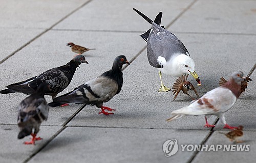 낮 최고 35도 무더위에 소나기…서울 이틀 연속 열대야
