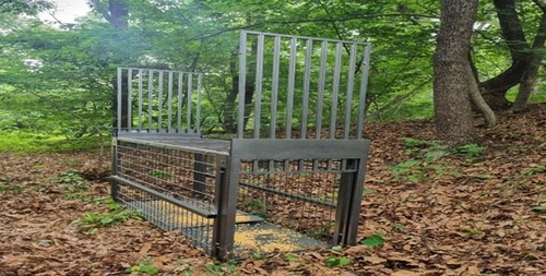 [파주소식] 대성동마을에 멧돼지 포획틀 5대 추가 설치
