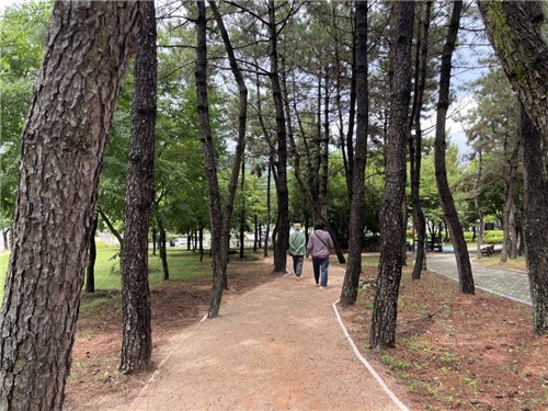 집 가까운 곳에서 사뿐사뿐…통영시, 11곳에 맨발걷기길 조성
