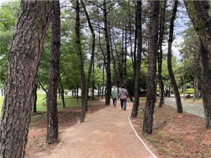 집 가까운 곳에서 사뿐사뿐…통영시, 11곳에 맨발걷기길 조성