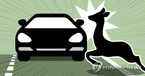 남원시, 로드킬 동물 사체 전문기관에 맡겨 24시간 처리
