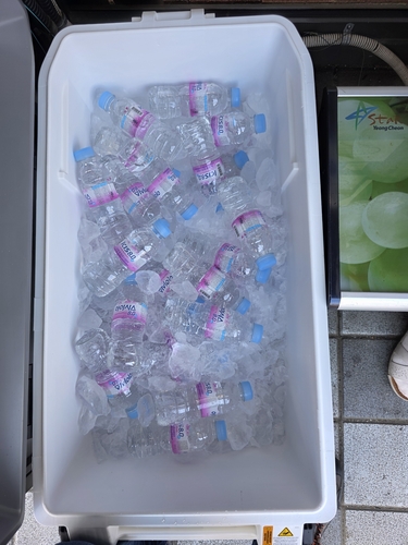 [영천소식] 무더운 여름, 시내버스 정류장 6곳에 생수·얼음 비치
