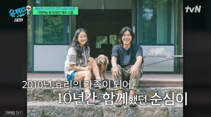 이효리, 암 말기 반려견 생각에 눈물..."내가 석삼이를 진짜 사랑했구나…