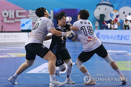 핸드볼 디비전리그 출범…5일 여자 대학·성인부 개막
