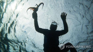 전북도, 군산·부안서 어업잠수사 시범사업…