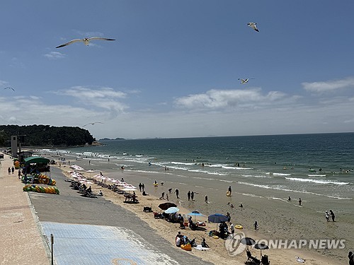 '바닷속으로 풍덩'…충남 서해안 해수욕장 일제히 개장