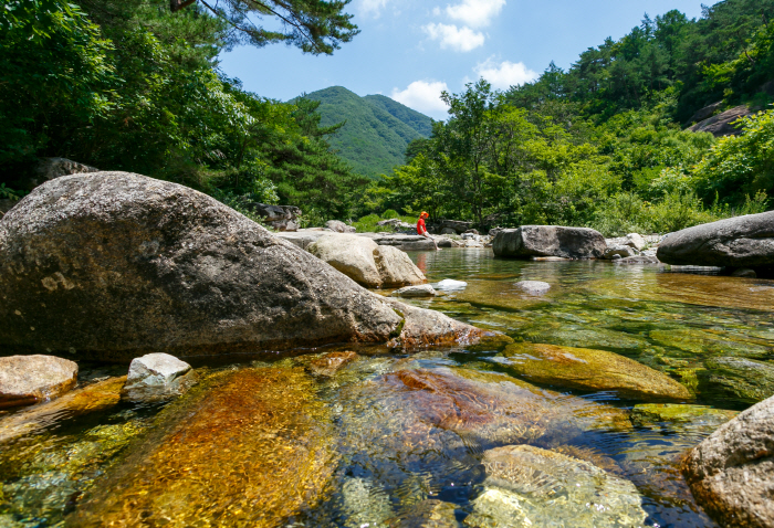 곳곳에 얼음골 계곡, 여름엔 '괴산'…절로 나오는 콧노래, 이색적인 일상…