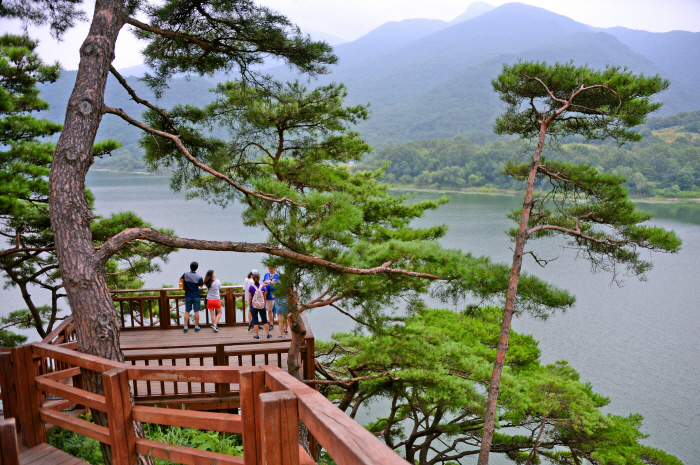 곳곳에 얼음골 계곡, 여름엔 '괴산'…절로 나오는 콧노래, 이색적인 일상…