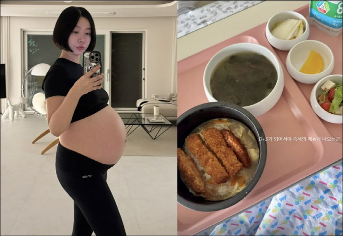 '쌍둥이 출산' 레이디제인, 럭셔리 조리원 식단 대만족 