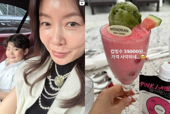 안선영, 캐나다行 앞두고 '3만5천원 빙수' 플렉스 "가격 사악..추억 …