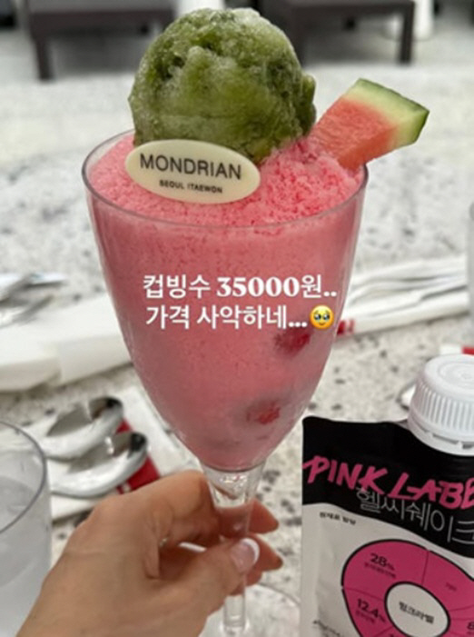 안선영, 캐나다行 앞두고 '3만5천원 빙수' 플렉스 "가격 사악..추억 …