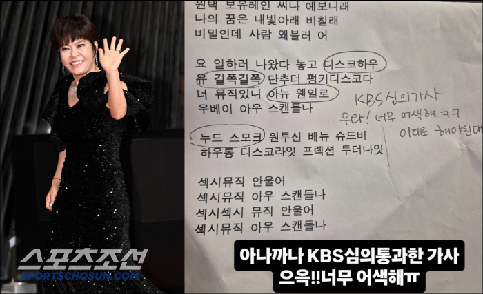 조혜련, 20년만 심의 통과한 '아나까나' 새 가사에 감격 