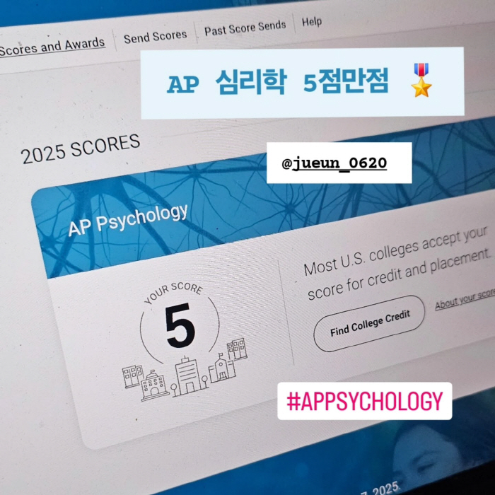 이천수♥심하은, 자식농사 대박..딸 美AP 심리학 만점 "아시아 최연소 …