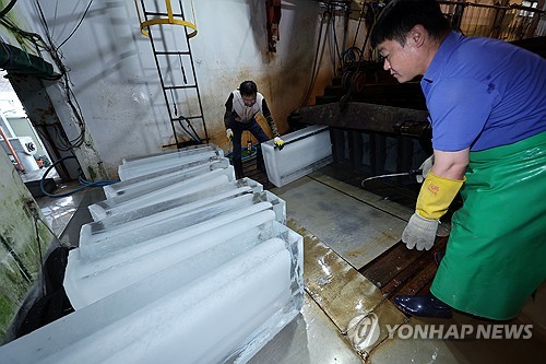 [르포] 가마솥더위에 얼음공장 주문 쇄도…작업자들 땀이 송골송골