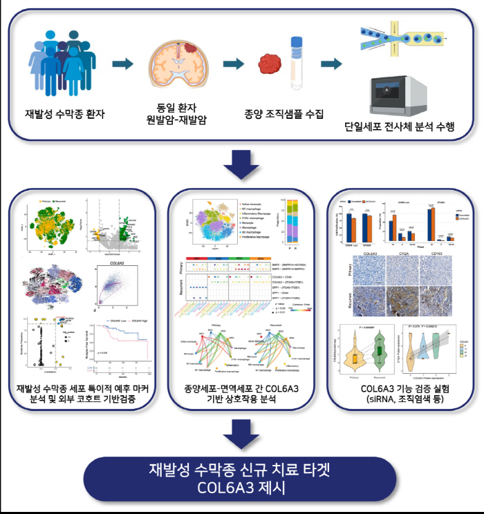 재발성 뇌종양, 정밀 유전자 분석으로 치료 실마리 찾았다