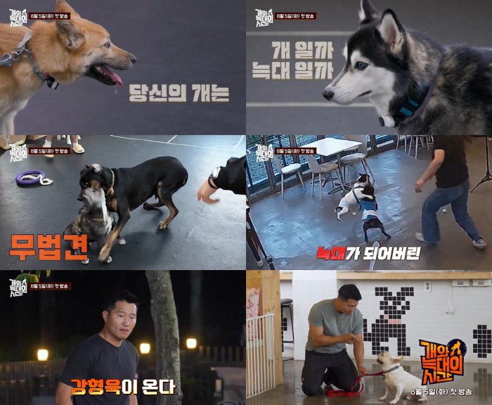 '갑질' 나락 탈출한 강형욱, '개늑시'로 1년 만에 방송 컴백