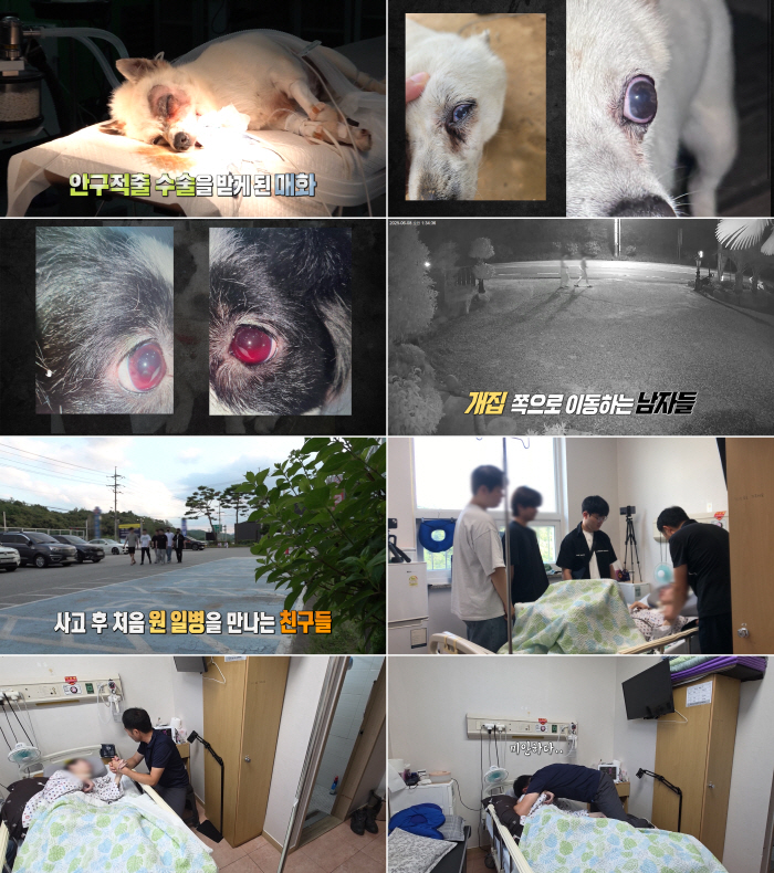 잔인하게 반려견 살해..가해자는 20대 해병대, 책임 떠넘기기 급급