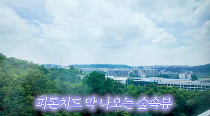 '157억 건물주' 송은이, 숲뷰 아파트 최초 공개…"거실엔 1000만원…