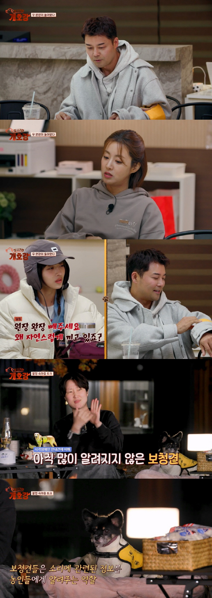 '고정 프로 12개' 전현무, 버거웠나..'개호강' 방송 펑크에 실직 위…