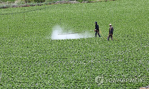 2018년·작년처럼…채소·과일 두자릿대 '히트플레이션' 주의보