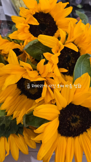 '이수근♥' 박지연 