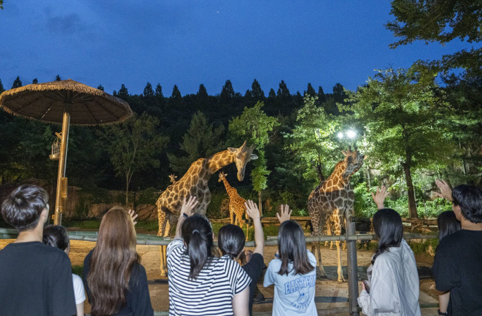 동물과 교감 '짜릿', 에버랜드 '동물 체험' 프로그램 선보여