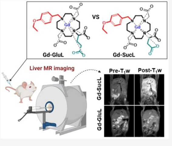 팜젠사이언스, '혁신신약' 거대고리형 간특이 MRI 조영제 中 특허 등록