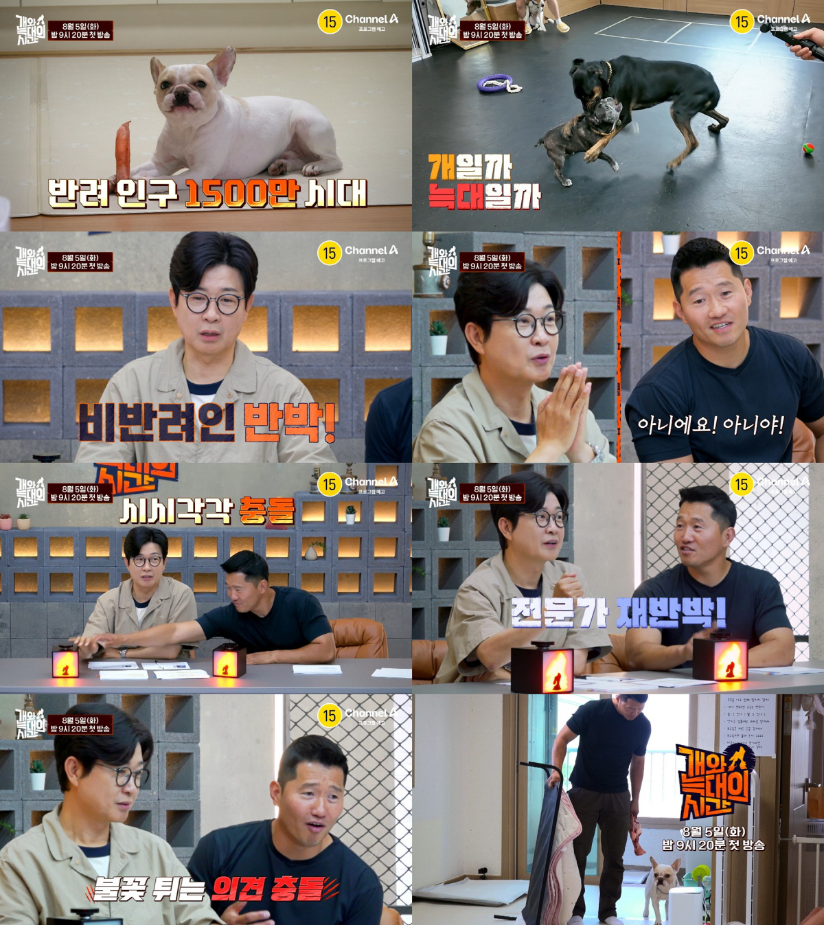 [공식] ‘개아빠’ 강형욱, 김성주 손잡고 돌아온다…채널A ‘개와 늑대의…