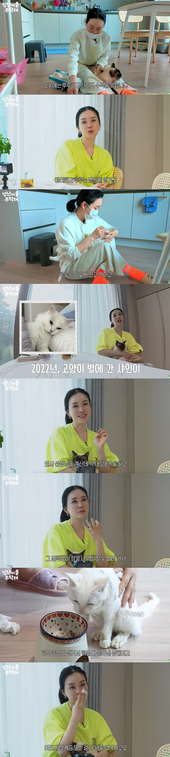 '54세' 김정난, 안타까운 소식에 눈물 "죄책감에 무너져..대성통곡"